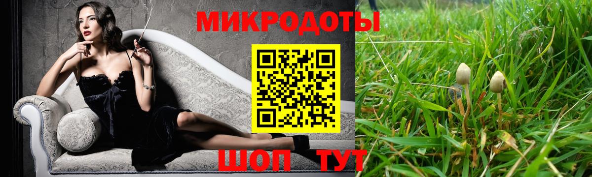 Псилоцибиновые грибы GOLDEN TEACHER  Вход с VPN  Псилоцибиновые грибы Psilocybine cubensis  Майкоп 