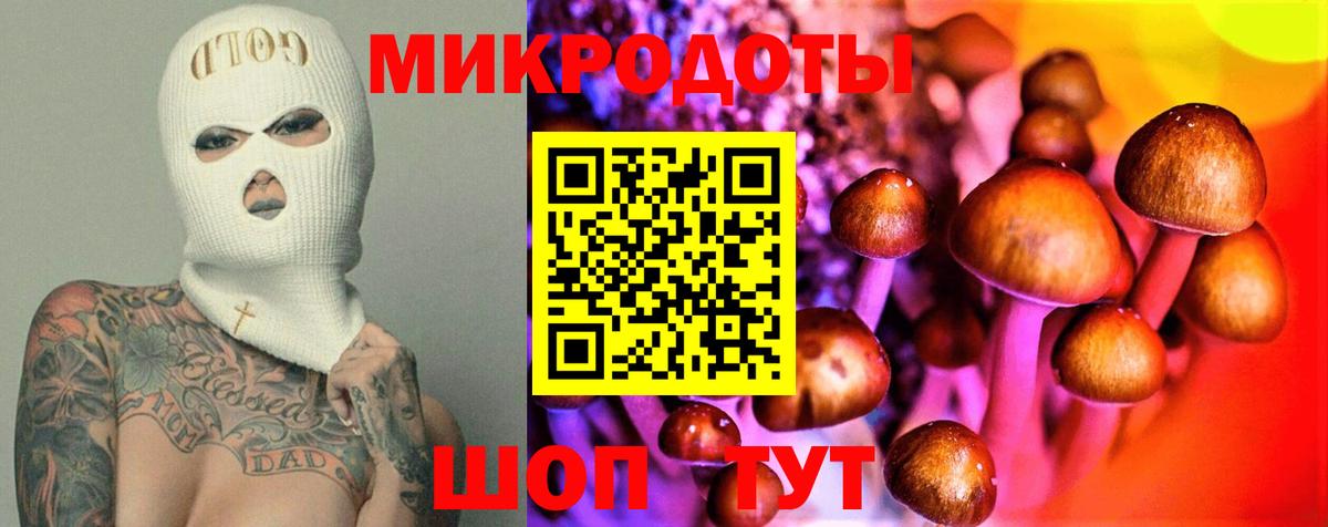 Галлюциногенные грибы Cubensis Майкоп